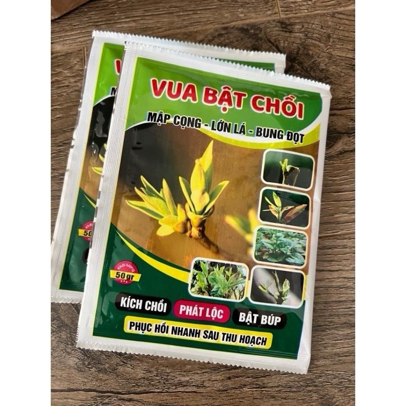 ( combo 10 gói ) Vua Bật Chồi, Bật Mầm, Mập Cọng, Lớn Lá, Tốt Cho Mai Vàng, Phong Lan, Hoa Hồng và các loại cây cảnh khác (Gói 50g)