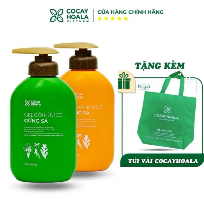 Combo Dầu Gội Xả Hữu Cơ Gừng Sả Cỏ Cây Hoa Lá, Bộ Dầu Gội Xả Hỗ Trợ Tóc Dầu, Bết Giảm Gãy Rụng Giúp Mọc Tóc Hiệu Quả Chai 500g, 1000g daugoi cap dau hoatra goixa 2in1 daucap chinhhang