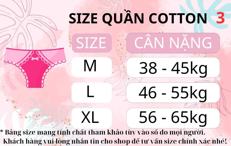 Product Introduction of Quần Lót Nữ - Quần Lót Thun Cotton Cạp Vừa Co Dãn 4 Chiều AMYBRA L003 Women 0
