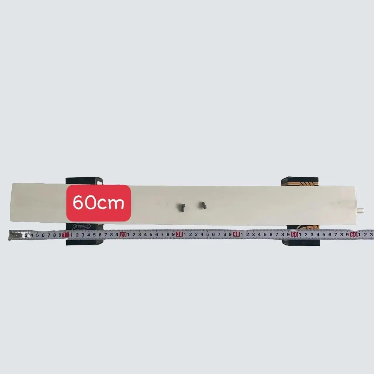 Lá đảo Dai_kin một lá, lá lớn chiều dài 60cm, tặng thêm 2 chốt