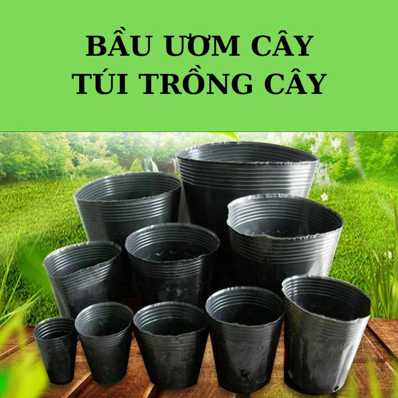  Bầu ươm cây - Túi trồng cây nhựa dẻo PE đủ kích thước 