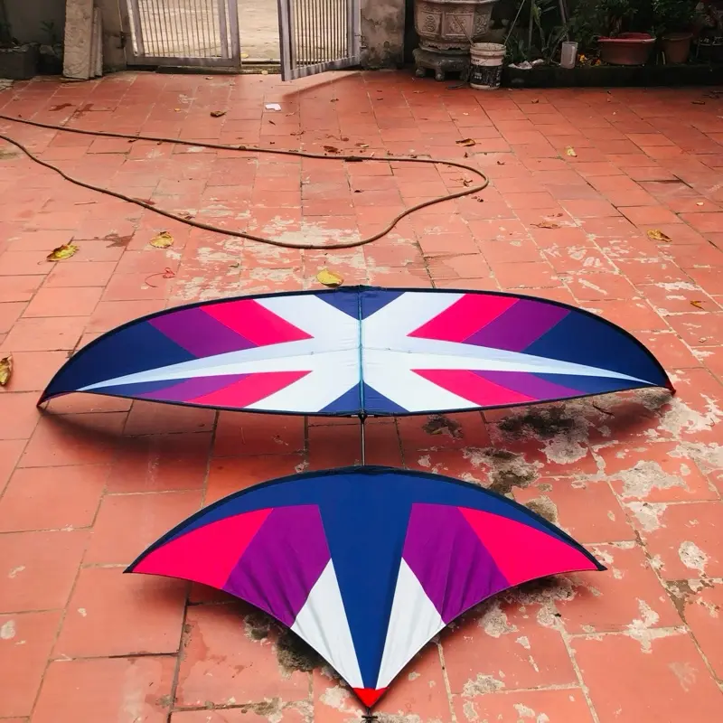 Diều 1m7 xương cá tím full cacbon 4