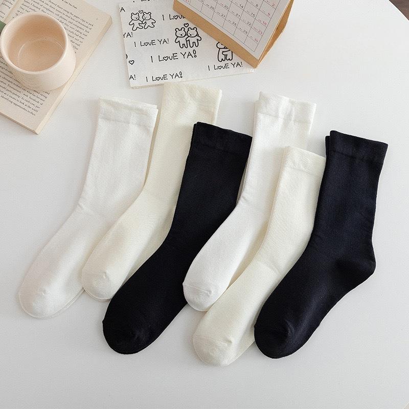 Product Introduction of Tất Cao Chất Lượng Cao, Cotton Mềm, Màu Trắng, Thời Trang Thu Đông, Dành Cho Nữ, Hàng Mới Về tất  len vớ  chân tất  xỏ knee socks tất  ngôi tất  đen tất  ngôi tất  lưới tất  hoa tất  hello chiếc  tất vớ  chân tất  lưới bi  tất 1
