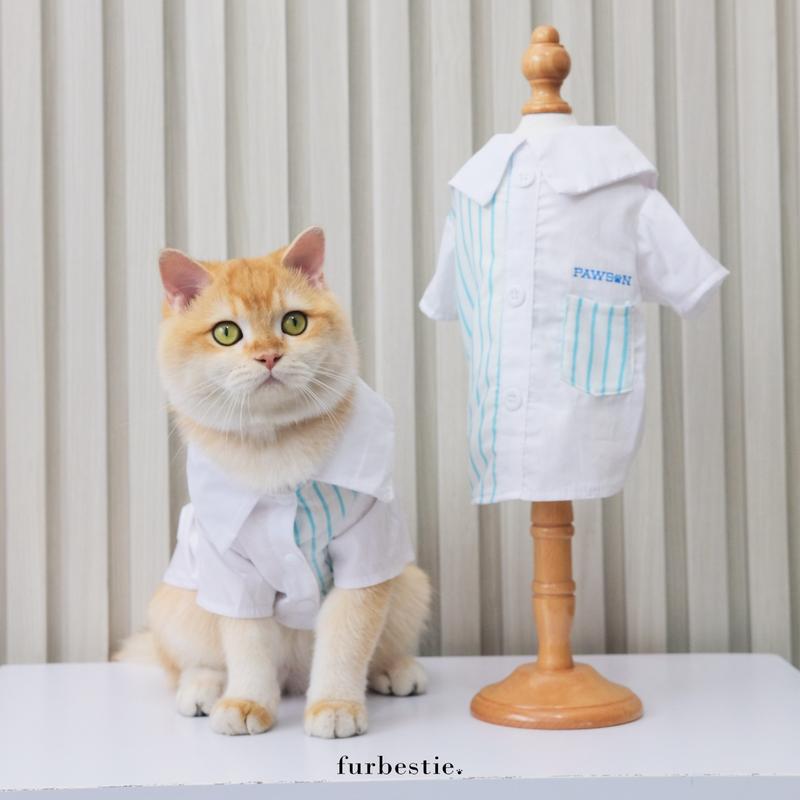 Furbestie by Pomapoo - Kostum Kucing dan Kostum Anjing Pawson 4