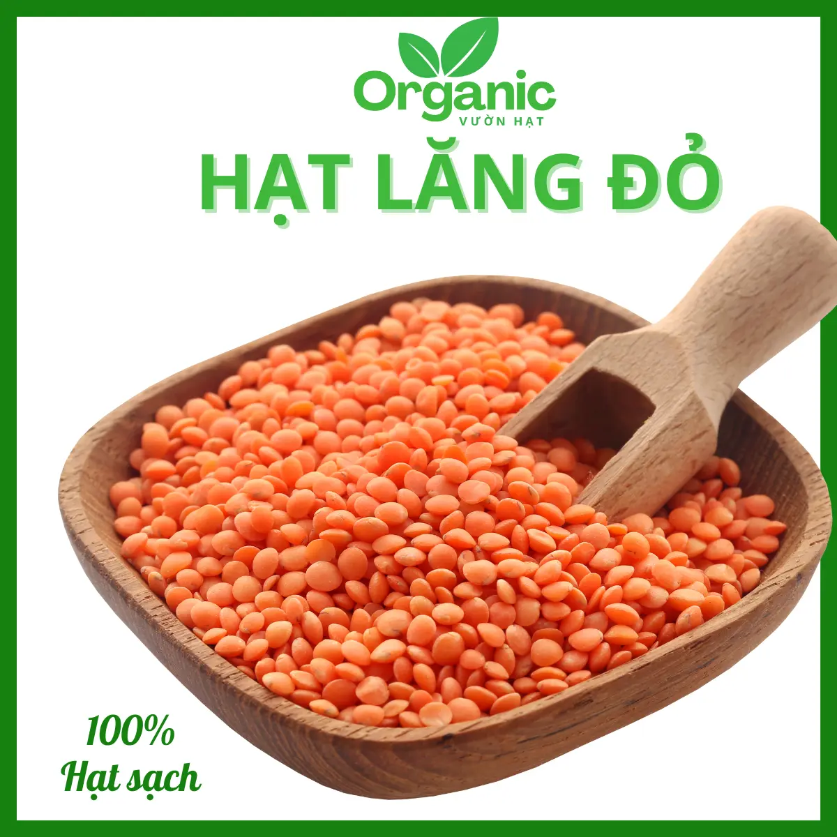 Đậu Lăng Đỏ Tách Vỏ Canada 250g - Cung Cấp Nhiều Vitamin Và Khoáng Chất