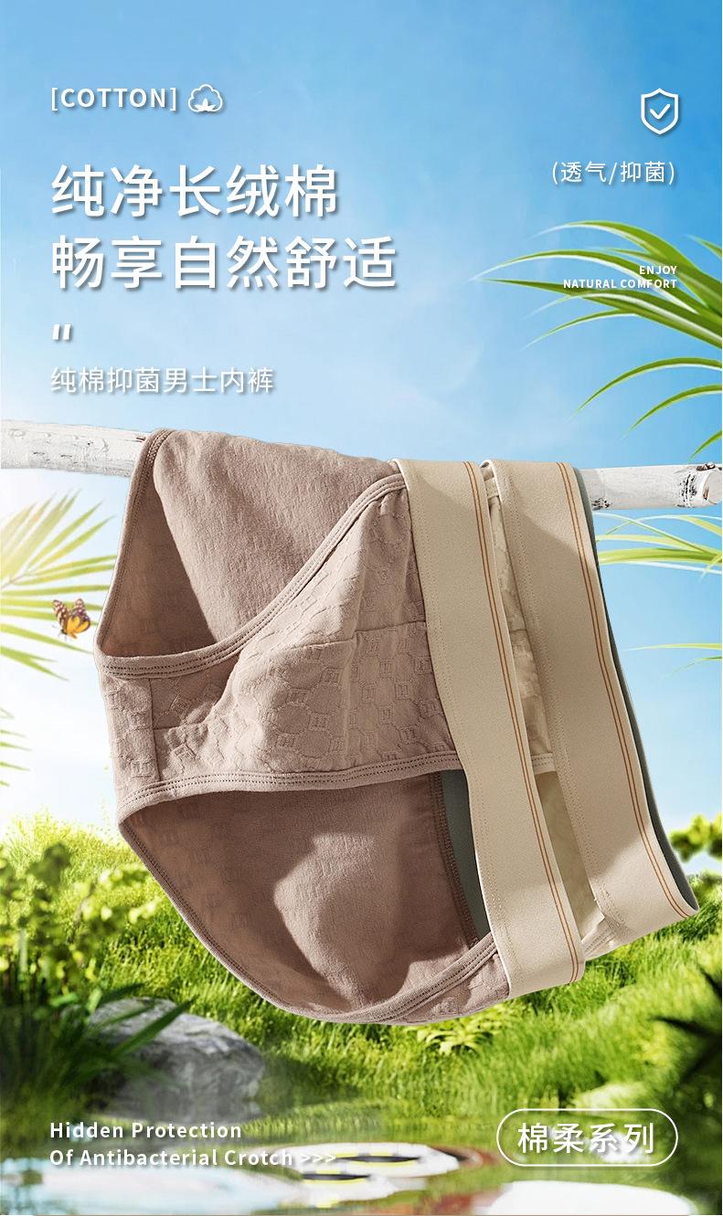 Product Introduction of Quần Sịp Nam, Quần Lót, Cotton Nguyên Chất, Kháng Khuẩn, Thoải Mái, Thoáng Khí 1