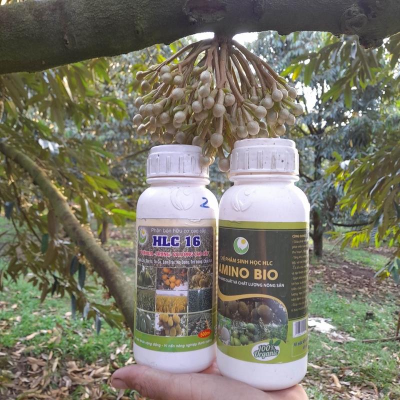 Combo hlc 16 và amino bio chai 500ml phân bón lá cao cấp giúp bật chồi vọt đọt mập cơi xanh dày lá