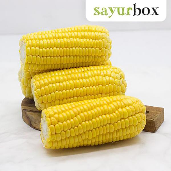 Gambar Jagung Manis Kupas Konvensional 1 kg - Jagung Manis Kupas Konvensional 1 kg Sayurbox dari Sayurbox Kota Administrasi Jakarta Selatan 4 Tokopedia