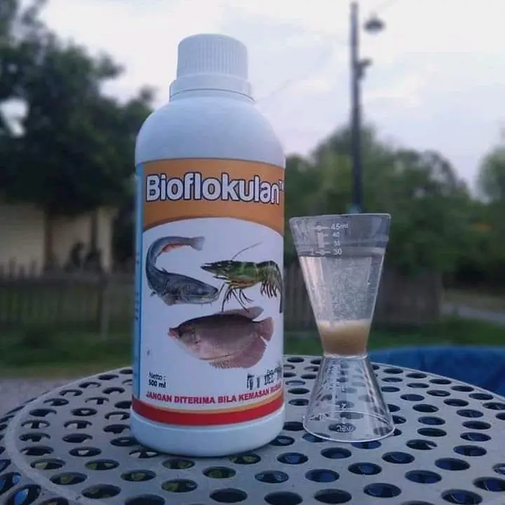Probiotik Ikan Nila Dan Lele Bioflokulan 0