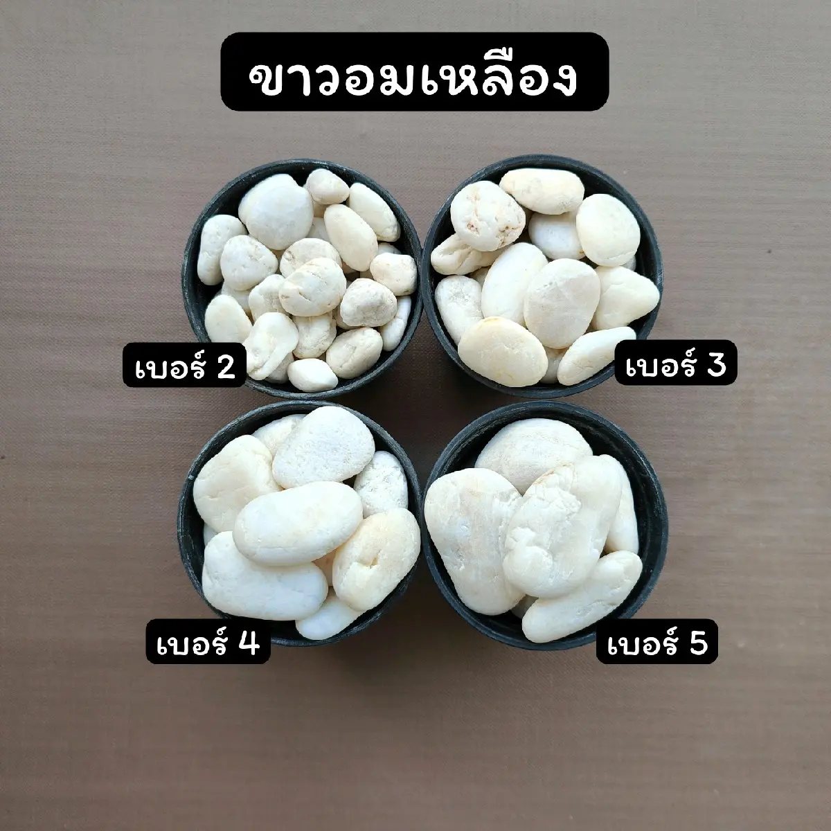 หินขาว(อมเหลือง) หินโรยกระถาง หินกรวด (500g.)