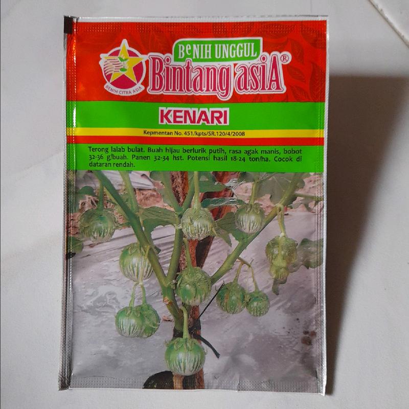Benih Terong lalab bulat hijau isi 100 biji 0