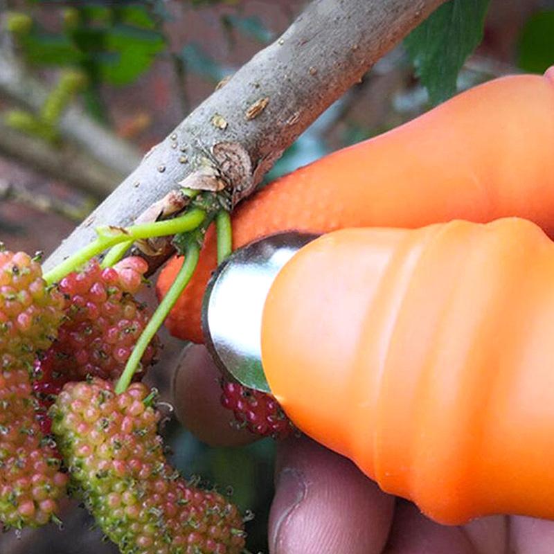 Product Introduction of 1set Finger Harvest Knife Picking Vegetable Thumb Knife Picking Vegetable Picking Agricultural Picking Tool 20
