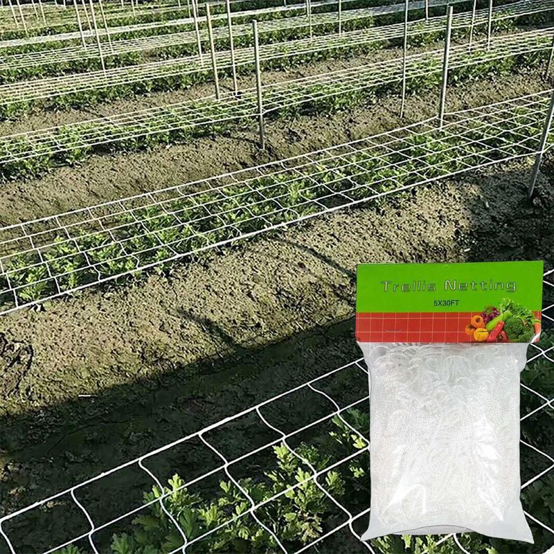 Jaring Tanaman Rambat Plants Climbing Net Polyester 1.67x10M 2