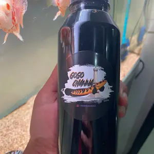 FeedHunt Ekstra Ketapang Cair super Gogochanna