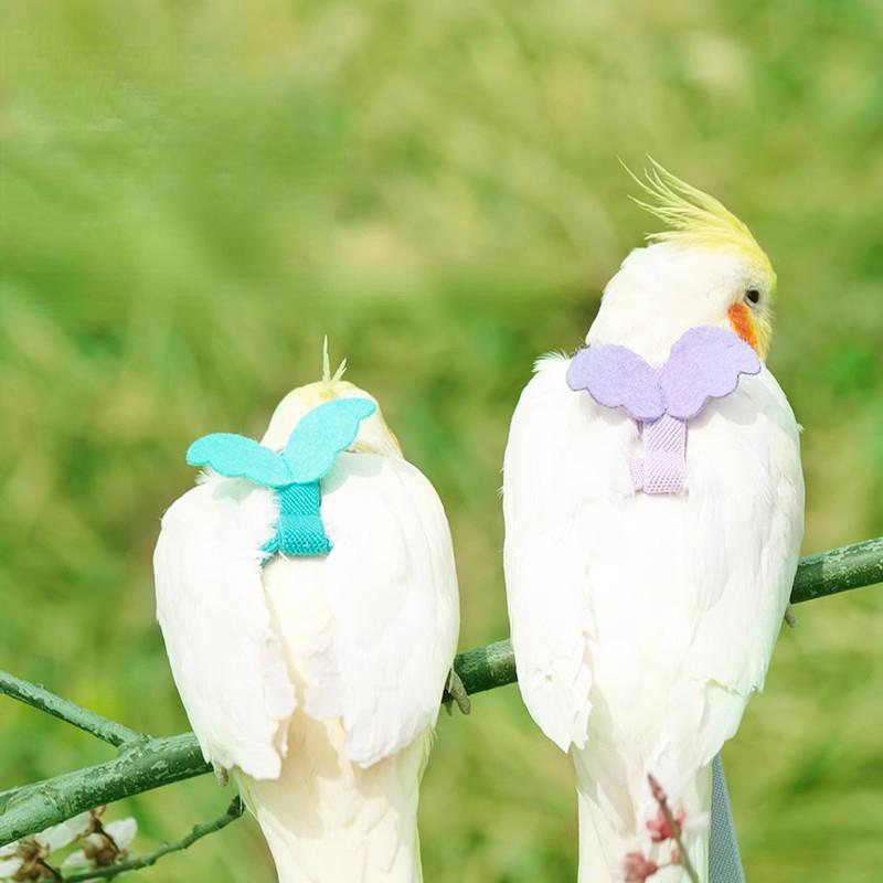 Product Introduction of Anti-bite Flying Training Rope Parrot Bird Pet Leash Kits Ultralight Harness Leash For Budgerigar Lovebird Cockatiel Small Birds 15