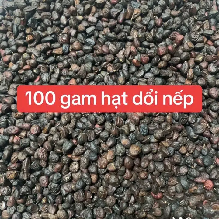 Hạt Dổi Nếp CỔ Thụ Hòa Bình 100 gam dùng làm gia vị trong nấu ăn
