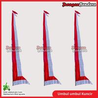 Gambar Umbul umbul Kuncir Merah Putih 4 Meter | Umbul Agustusan Dekorasi Kemerdekaan HUT RI - 5 Meter dari Juraganbendera Kota Surabaya 2 Tokopedia