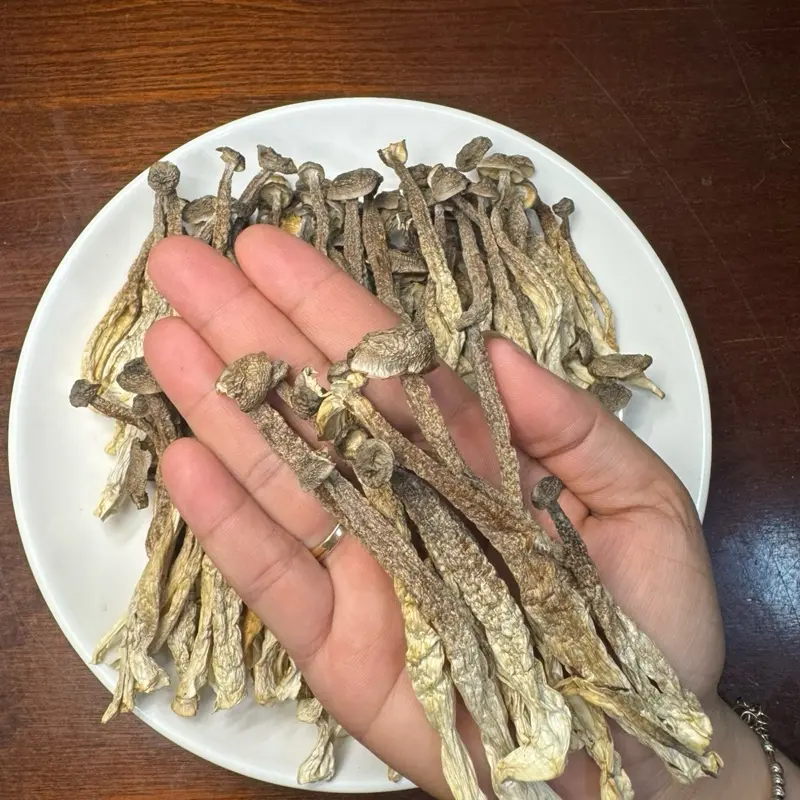 [500g+quà]Nấm lộc nhung nguyên cây loại 1 không gãy vụn tặng 100gr táo đỏ 2