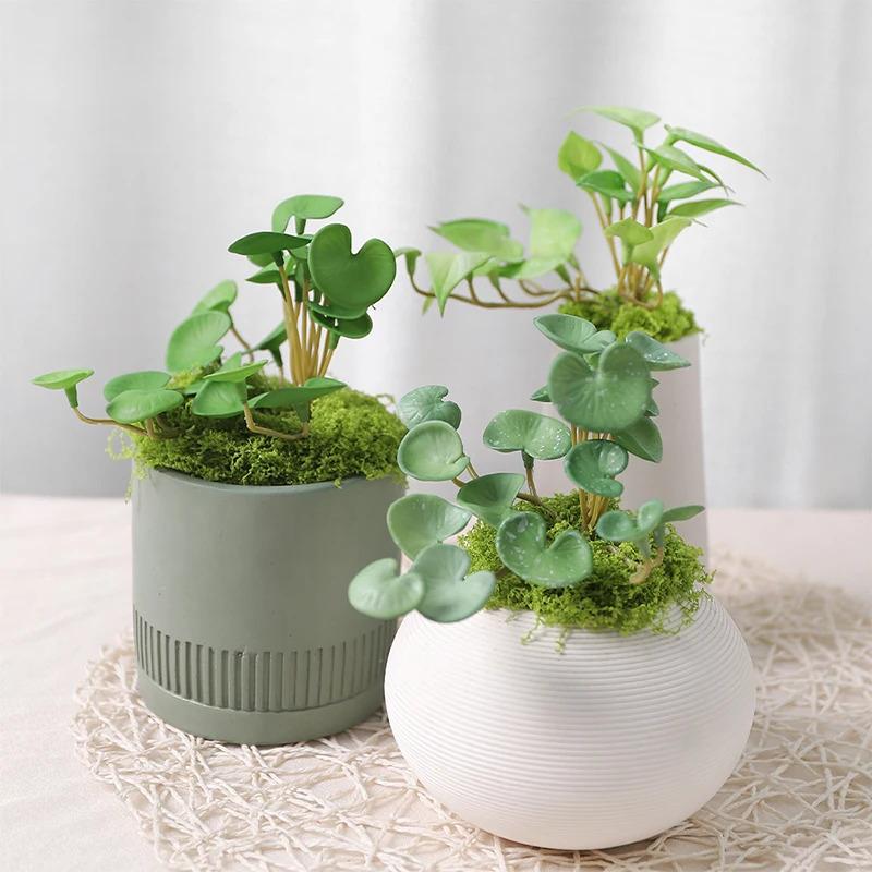 Product Introduction of Artificial Plant Mini Bouquet Copper Coin Grass Soft Glue Fake Green Plants Wall Hanging For Home Office Garden Decoration Decorative Fruit Ornaments Light 18