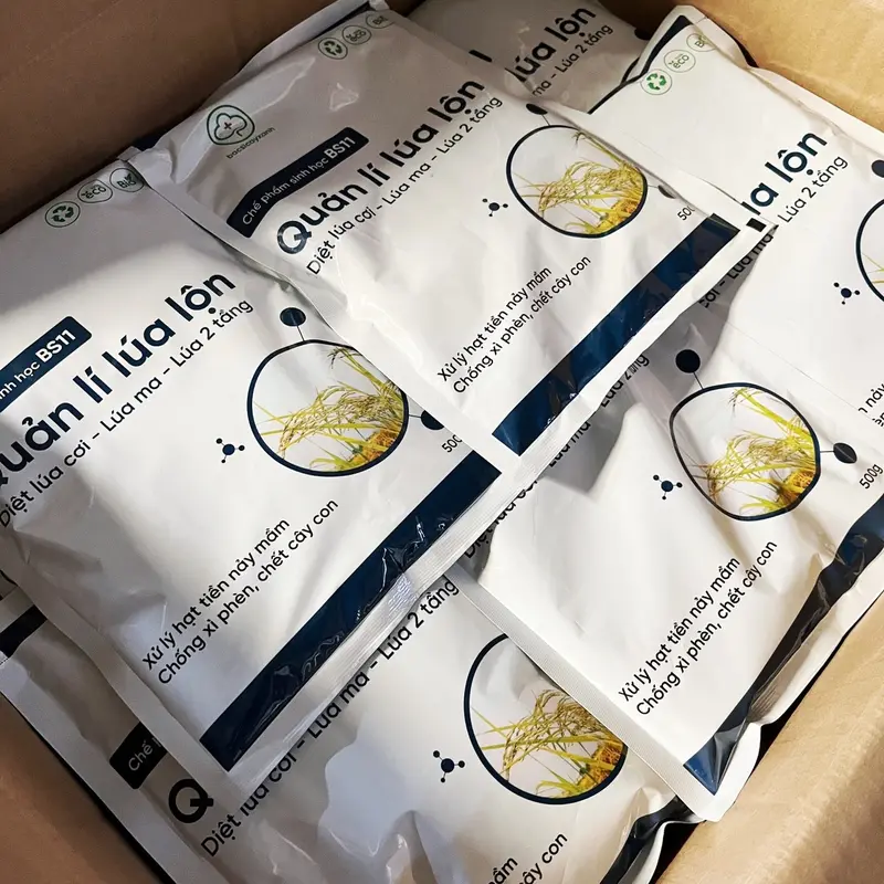 Chế phẩm sinh học Quản lý lúa lộn BS11 500gr 0
