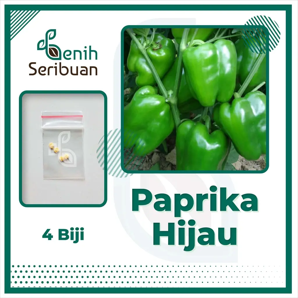 PAPRIKA HIJAU