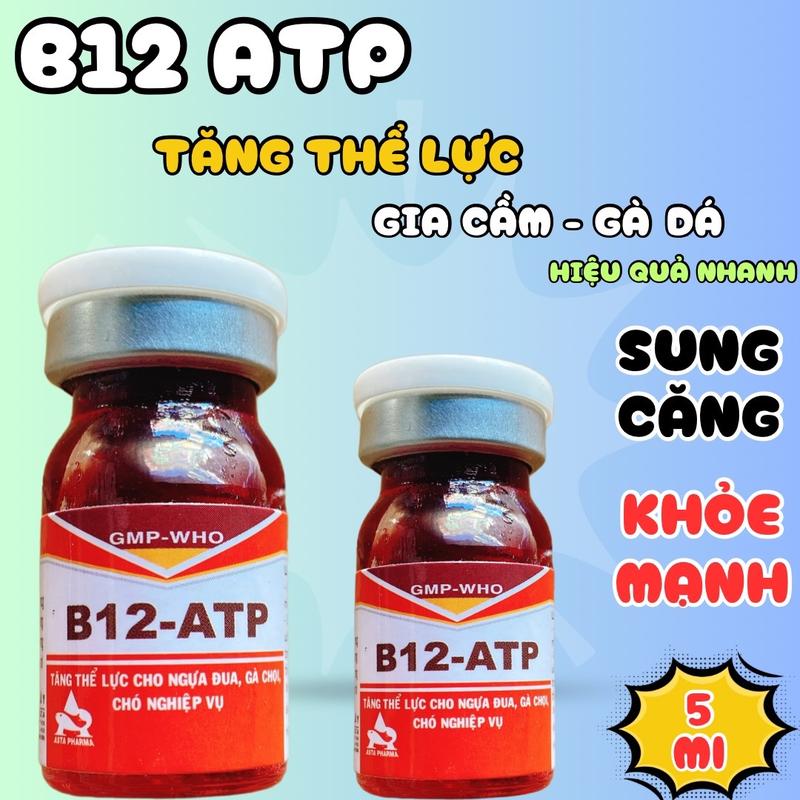 B12 Atp thuốc tiêm tăng lực, sung căng, tăng bo, tăng lì, phục hồi sức khỏe cho chó mèo gà sau bệnh