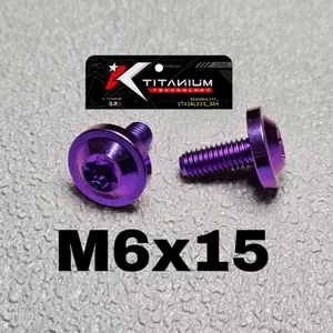 original baut probolt titanium 6x15 drat 10 panjang 1.5 cm payung big head