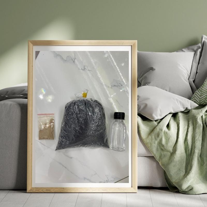 Combo 3 món setup hồ tép cảnh gồm nền vi sinh và khoáng - Tranh mô phỏng