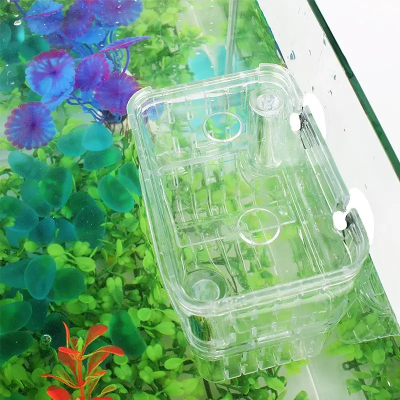 Hộp Ấp Cá Con, Acrylic Hai Lớp, Tự Nổi, Hộp Ấp Chim Công, Hộp Ấp Cá Đuôi Dài, Hộp Cách Ly, Thích Hợp Cho Cá Chiến Đấu, Trại Cá 7