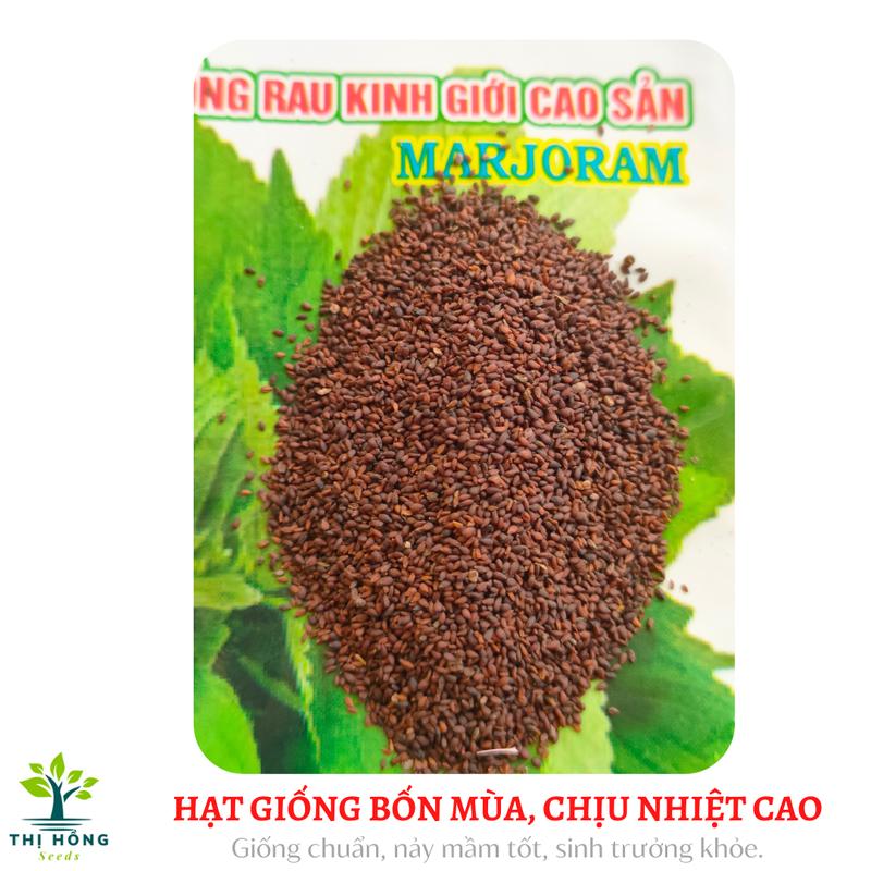 Hạt giống rau kinh giới (mùi thơm dễ chịu, màu xanh, có lông nhám) 3