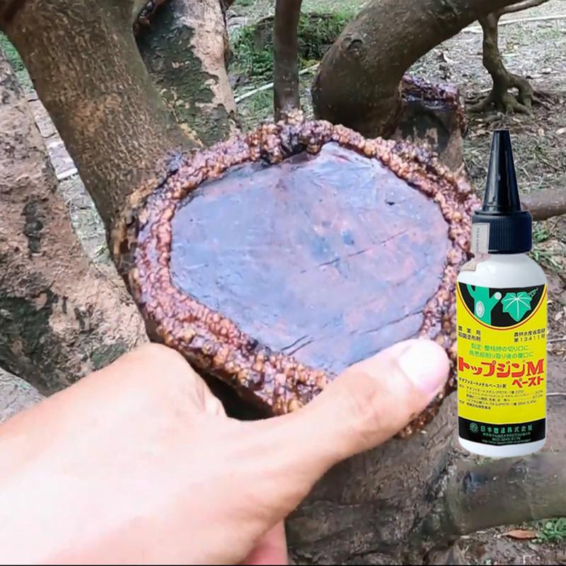 2 lọ Keo Liền Da Cây - Liền Sẹo Cho Cây Bonsai - Thế Hệ Mới Từ Nhật - Tạo Xù, U nghệ Thuật (80gr) 3