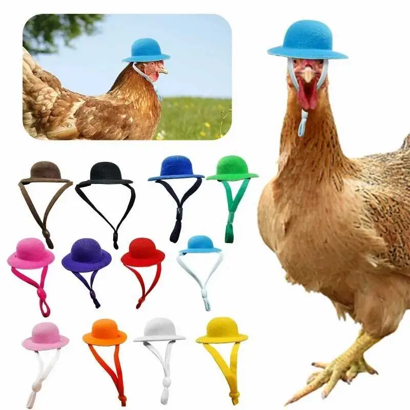 TTS Homie Hens Tiny Pets Funny Chicken Accessories Hen Top Hat for Rooster Duck Parrot Hamster Poultry Stylish Show Costum