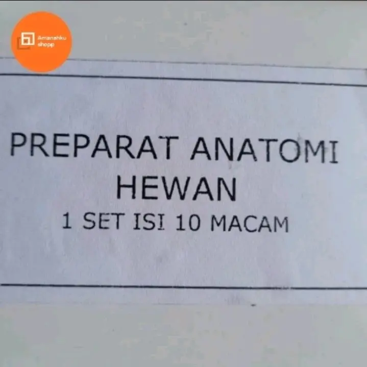 Preparat Anantomi Hewa (isi 10 macam)