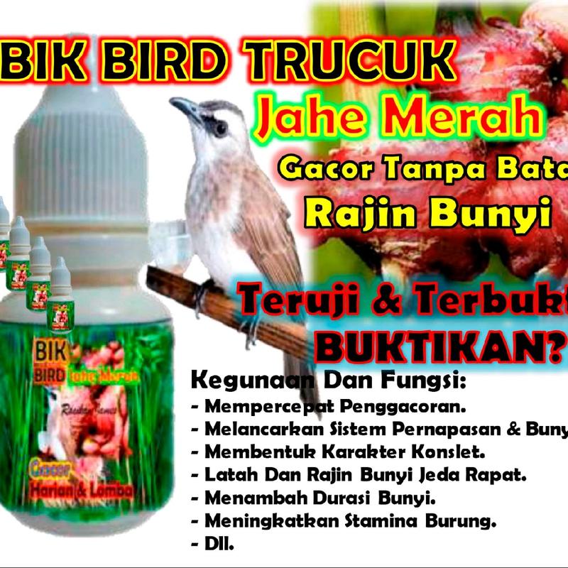 BIK Bird Trucuk. Ekstra Jahe Merah. Jametik. 2