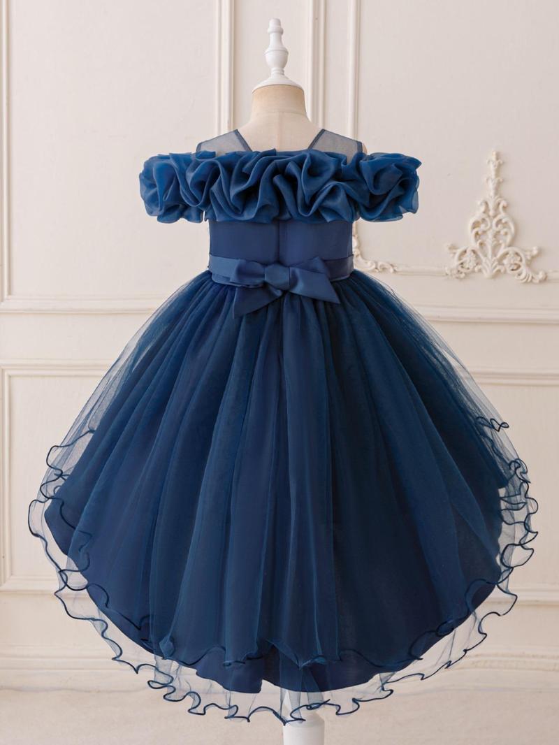 Product Introduction of Flower Girl Embroidery Sequin Decor Tulle Formal Dress, Elegant A-Line Dress for Party Wedding Guest, Kids Clothes for All Seasons 9