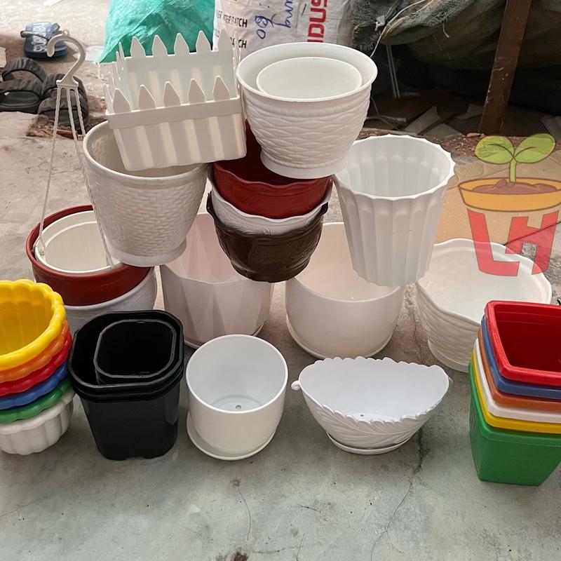 Chậu nhựa mini trồng cây sen đá, xương rồng, bonsai mini, cây để bàn nhiều mẫu nhiều kích cỡ