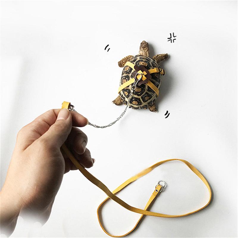 Product Introduction of HG Pet Harness Reptile Leash Turtle Lizard Adjustable Outdoor Training Soft Strap Tortoise Reptile Adjustable Leashe Pet Supplies 10