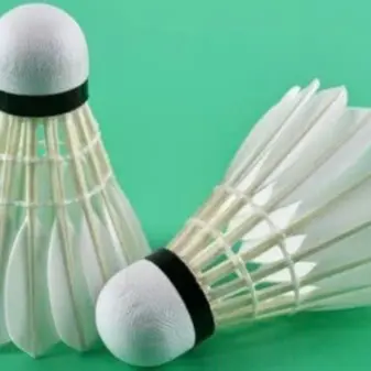 Ống Cầu Lông Hải Yến Bạc Dài - Cầu Lông Thể Thao - Sport Vợt 4