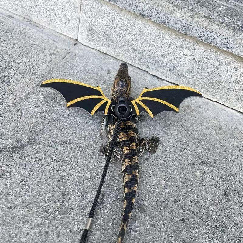 Product Introduction of [Three-Piece Set] Little Crocodile Lizard Outdoor Costume Little Devil Leash with Wings Reptile Little Crocodile Clothes 1