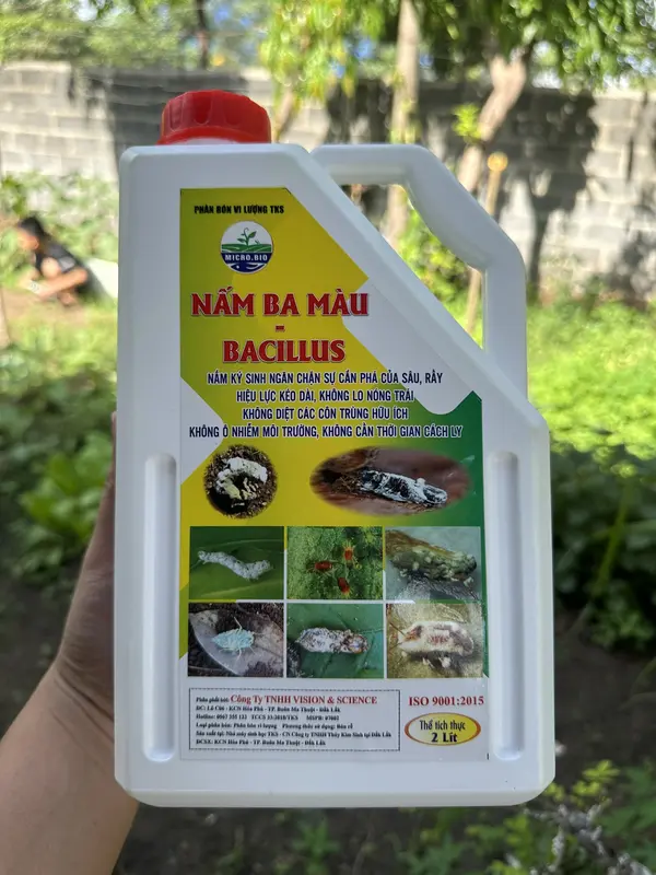 Phân bón sinh học NẤM 3 MÀU BACILLUS phòng ngừa Côn Trùng- Can 2 Lít 5