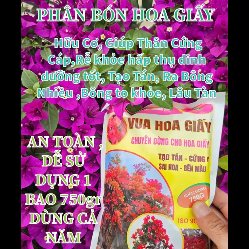 Phân Bón Hoa Giấy, Hữu Cơ, Giúp Thân Cứng Cáp, Tạo Tán, Ra Bông Nhiều, Hoa lên màu đẹp, Lâu Tàn ( bao 750g ) dùng tất cả các loại cây hoa, cây cảnh, cây bonsai 2