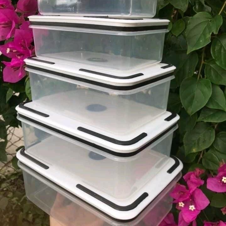 Set 5 Hộp Nhựa Đựng Thực Phẩm Để Tủ Lạnh Tiện Lợi Nắp Trắng 2