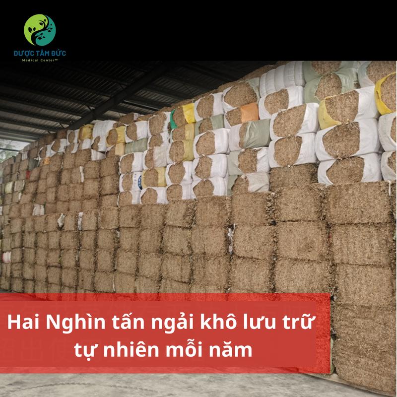 Thanh ngải cứu đuổi muỗi tự nhiên cao cấp ( an toàn sức khỏe 100%) Da nhạy cảm Nhang 6