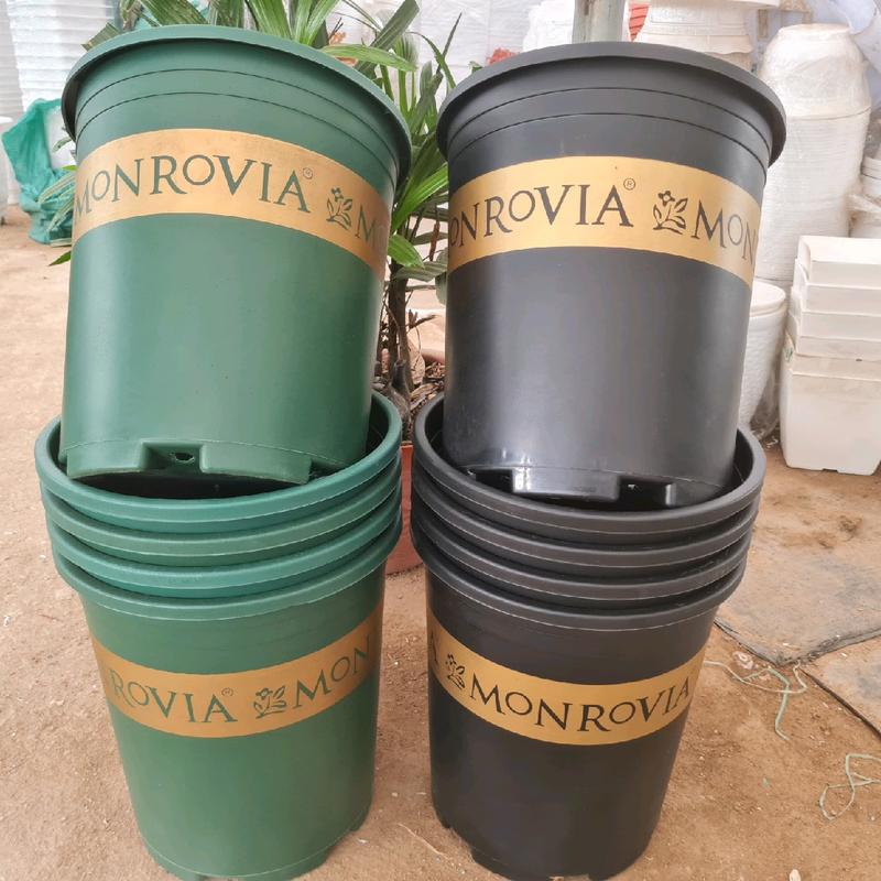 Combo 5 chậu nhựa trồng cây  Monrovia 5gal màu xanh, đen kích thước miệng 28cm cao 31cm