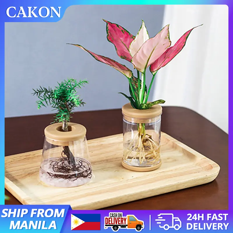 Nordic Glass Bottle Decoration Minimalist Transparent Hydroponic Plant Flower Vases Office Home Decoration(Only Bottle)