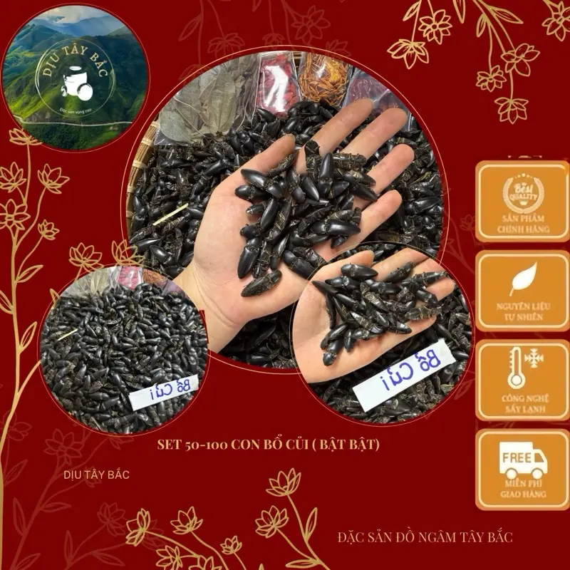 Trà Combo 50 con bần bật ( bổ củi) - Đặc Sản Đồ Ngâm Tây Bắc Tea