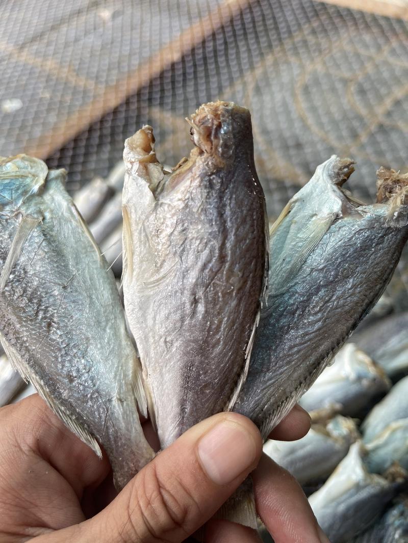 Product Introduction of 500.gram khô cá đù lớn vị mặn ăn cơm size 14-18 con Food (quý khách ăn lạc nên ngâm nước 30-40 phút trước khi chiên. 2