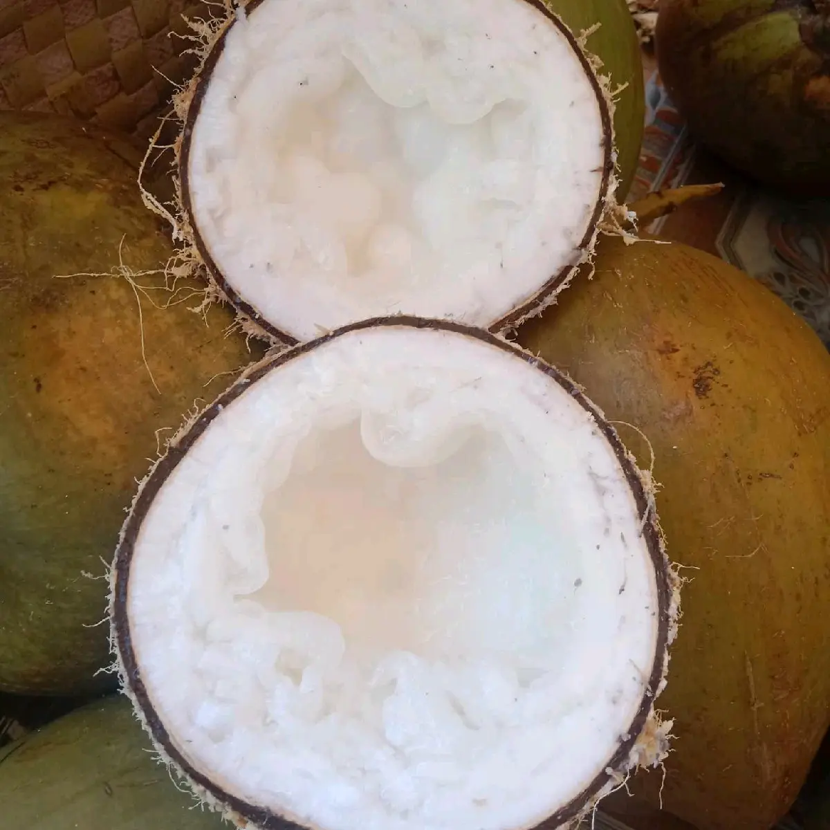 Dừa Sáp Đặc Loại 1 size 0.8-1kg