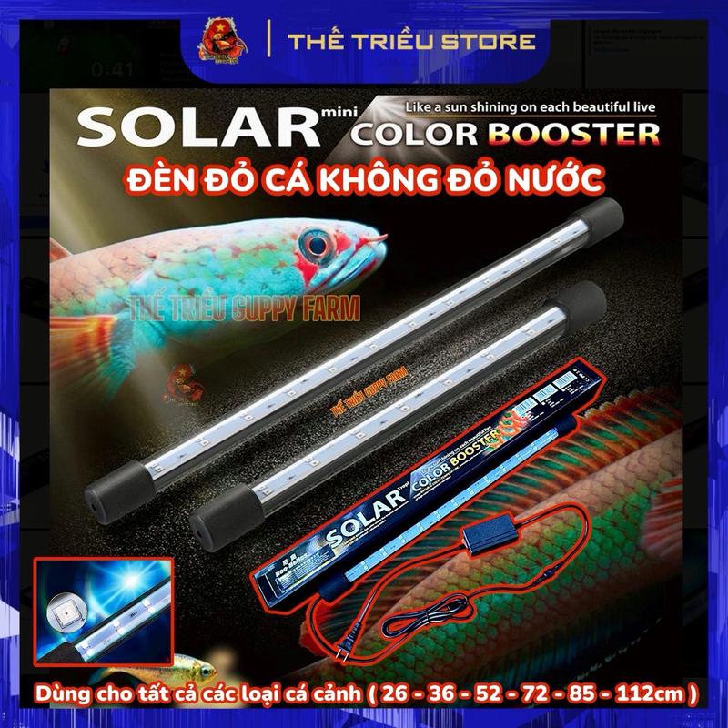 Đèn bể cá Neo Helios Solar Color Booster RGB. Chuyên dùng cho Cá Lóc Cảnh, Cá Rồng... Tăng sắc tố cá và kích màu ( ST-260 - ST-1120 )