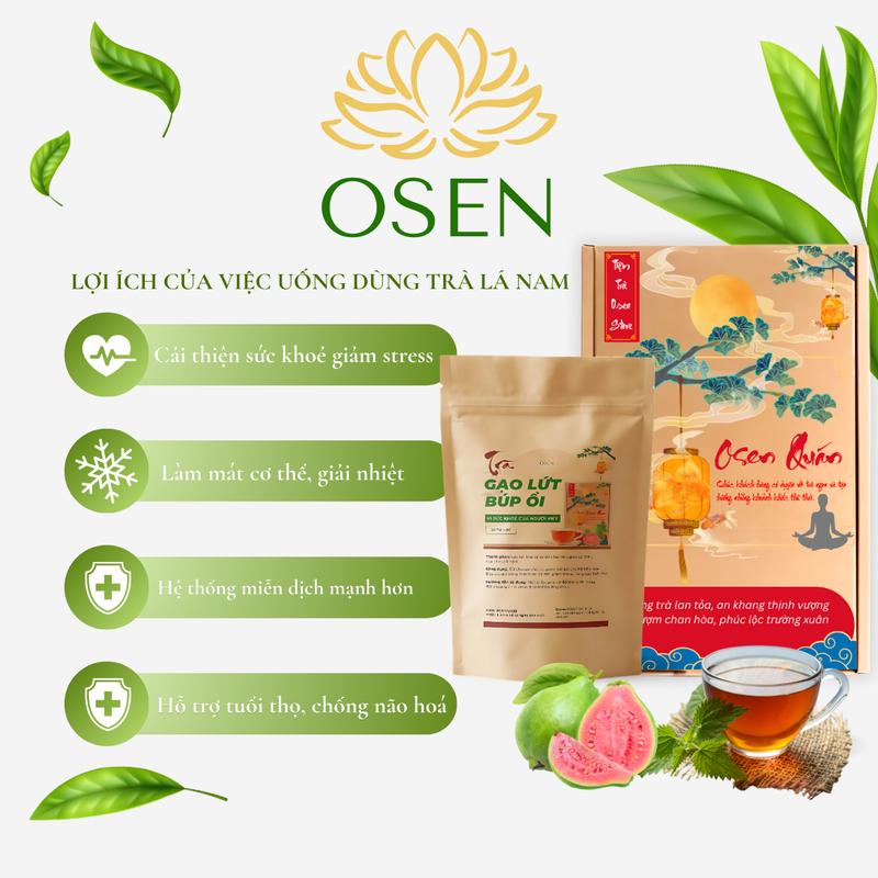 Combo 60 Túi Lọc Lá Ổi Gạo Lứt 5 Vị Thảo Mộc [ Lá Ổi - Gạo Lứt - Giào Cổ Làm - Hoa Nhài - Cỏ Ngọt ] 3